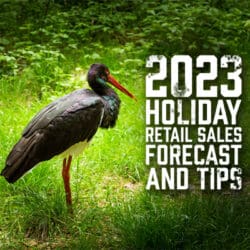 2023 Holiday Retail Sales Forecast and Tips