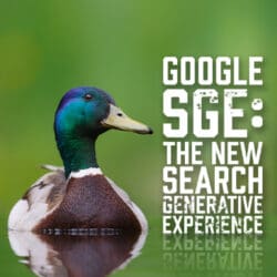 Google SGE The New Search Generative Experience